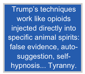  Trump’s techniques
 work like opioids
 injected directly into
 specific animal spirits:
 false evidence, auto-
 suggestion, self-
 hypnosis... Tyranny.